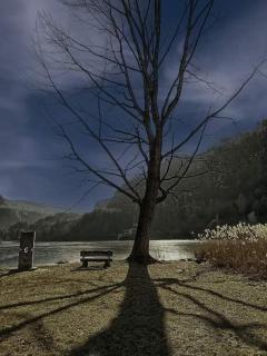 Leonard Chalet House - Albiano - 9