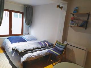 Studio au RDC Centre Historique - 9