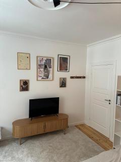 Cozy apartment on Amager - Copenaghen - 8