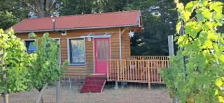 La Barre Tiny Haus im Weinberg - Chalais - 0