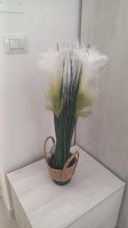 AF beach rooms - Margherita di Savoia - 4