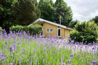 Seeschwalbe 242 - Mirow - 9