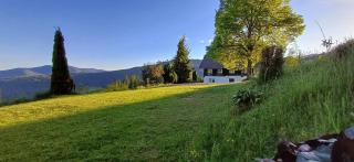 Ferienhaus Almhorizont beim Oberen Kreuzer - Friesach - 7
