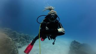 Neptune Dive Club - 2