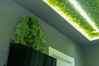 Tree Luxury - Baronissi - 3