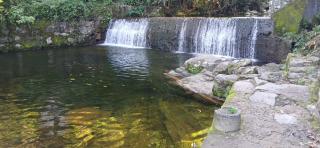 Apartamento Teresópolis alto - Teresópolis - 7