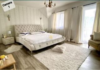 Casa EricLG - Budeşti - 9