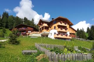 Farm apartment I neni - 8