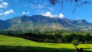 Mulanje Vista House - Mulanje - 9