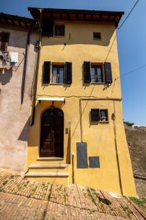 Sebastiano - Colle Val D'Elsa - 8
