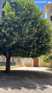 Studio - la vernea deContes, Alpes-Maritimes - Contes - 7