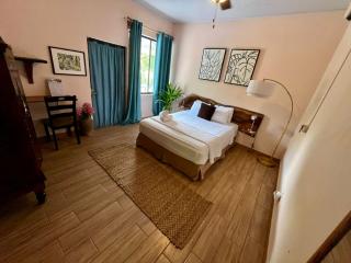 Kika Zaru Free park tour, massage and breakfast - Quepos - 7