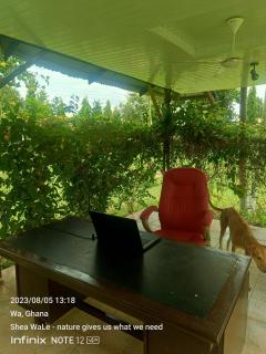 BeautyByNature Camp - Wa - 1