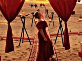Luxury Diaries Camp - 4