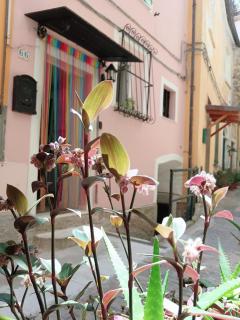 Casa Martina - 8