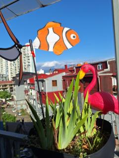 Chase Dream Hostel追梦空间 - 7