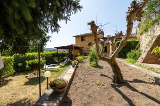 Sebastiano - Colle Val D'Elsa - 6