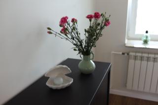 Apartament na poddaszu - Sandomierz - 7