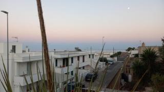 Leucasia - Andria - 7