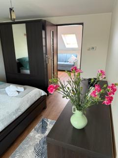 Apartament na poddaszu - Sandomierz - 8