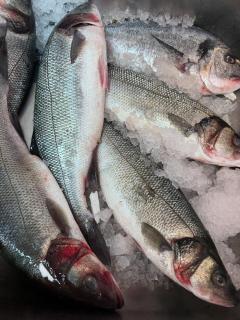 Apartments DoriDitaRejjan - 3