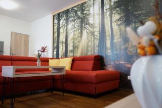Apartmány Na Soutoku - Březník - Modrava - 5