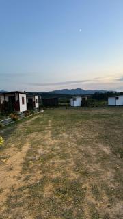 Walhalla Camping - 0