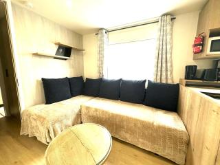 Mobilhome neuf 3 ch 40 m2 climatisé - Les Charmettes - Les Mathes - 7