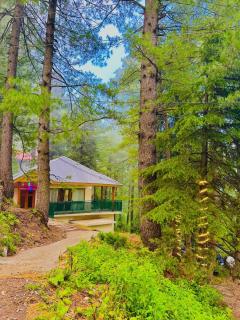 Vine wood cotteg - Dunga Gali - 5