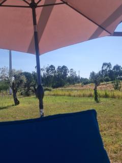 Quinta Coração d'Ouro - Midões - 8