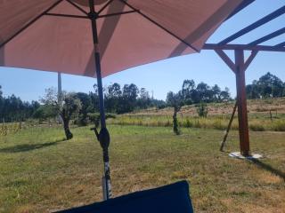 Quinta Coração d'Ouro - Midões - 9