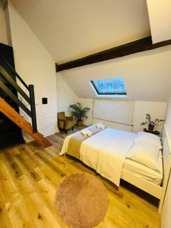 Albergue Bosquet Quarto 1 - Bruxelles - 8