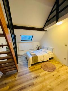 Albergue Bosquet Quarto 1 - Bruxelles - 6