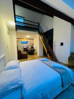 Albergue Bosquet Quarto 1 - Bruxelles - 4