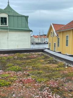 Marstrand - Marstrand - 9