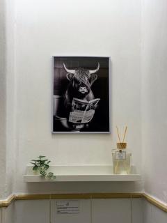 Extralarge Queen Room in the Heart of Bratislava with Terrace - Bratislava - 9