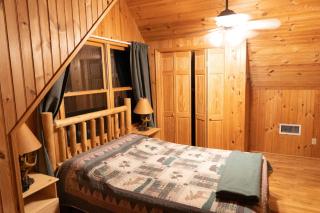 6 BR log cabin JFBB ski /HOT TUB - Blakeslee - 8