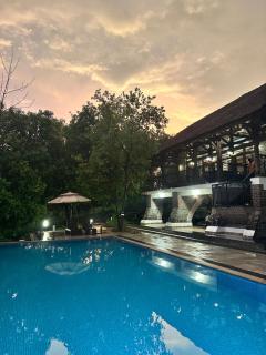 Luxury farm villa with pool near Mumbai - - 9