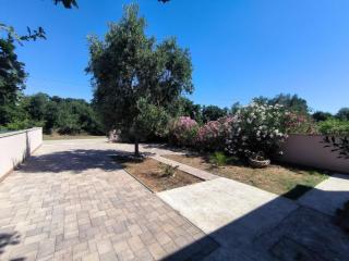 Apartmani Elena - 7
