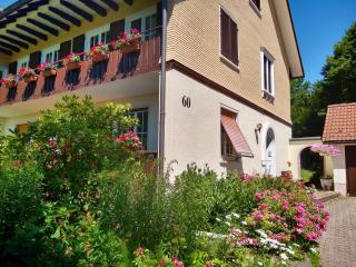 Ferienwohnung Panoramablick Freudenstadt - Freudenstadt - 9