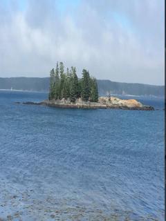 Sawyer Cove Cottage - Jonesport - 9