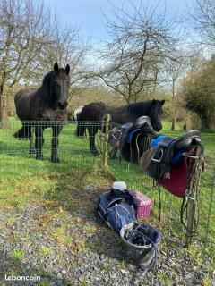 Gite Vallée De La Vire - 3