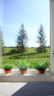 Garden Room at Ruutin Kartano - - 8