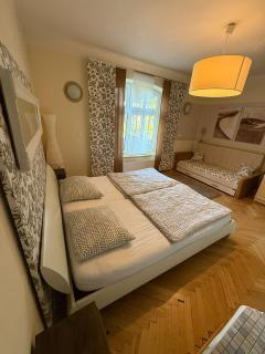 Rodinný apartmán Villa Magnólie - Lipová lázně - Lipova Lazne - 8