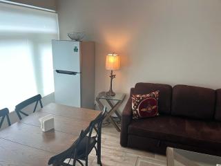 Arquimedes Patio I Luminous 1BR in Polanco - Mexiko-Stadt - 9