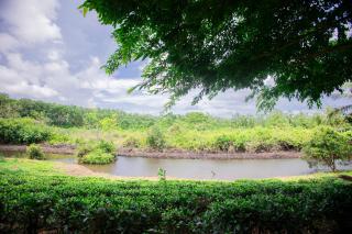 Waters Lodge - - 7