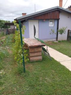 Apartmani Primus - 8