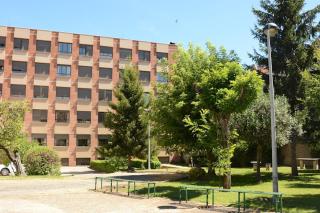 Miresileón - León - 2