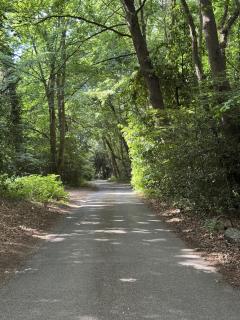 A charming cottage nestled in a peaceful woodland - 2
