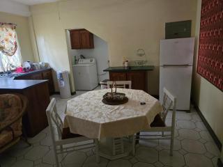 Comfortable & Close to Attractions - Port-of-Spain - 1